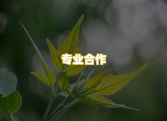专业合作